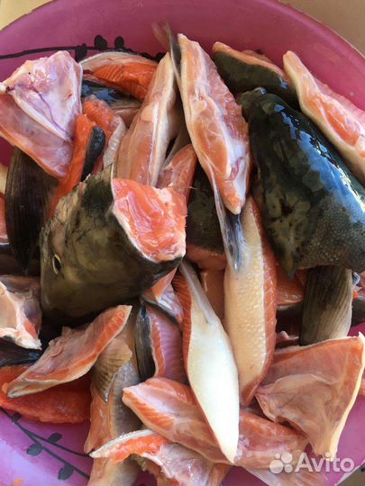 Рыба свежая