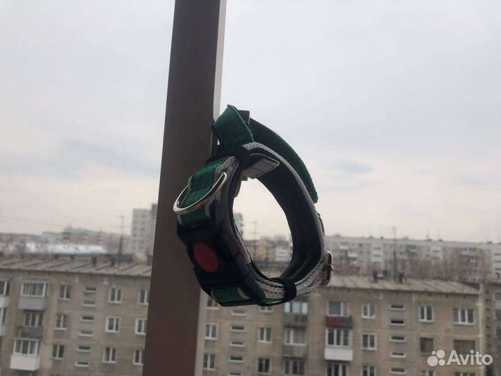 Ошейник для собак