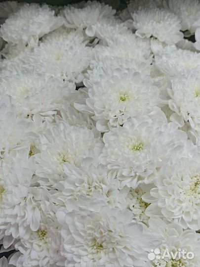 Букеты из кустовых роз