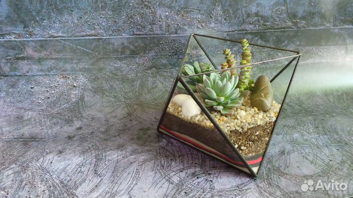 Флорариум.Подарок