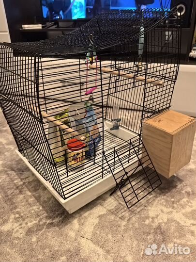 Клетка для попугая