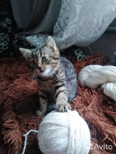 Пряжа для ручного вязания