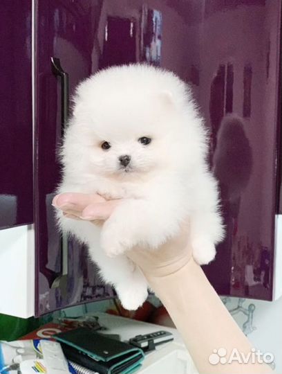 Офигительный мальчишка