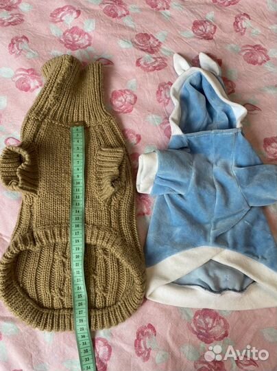 Одежда на собачку