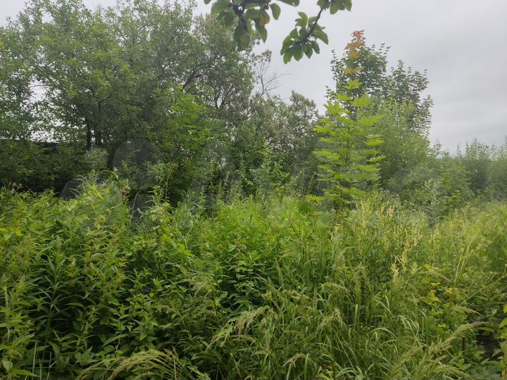 Участок 19,3 сот. (ИЖС)