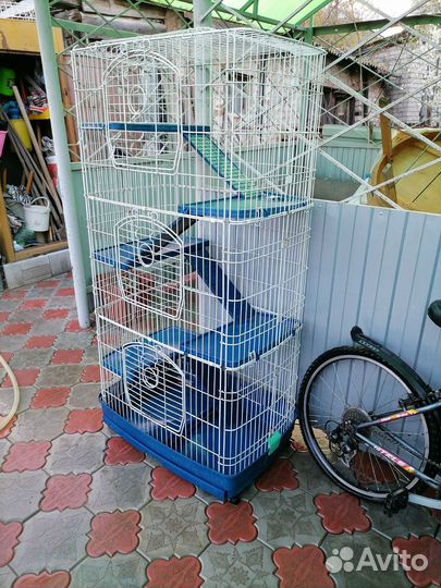 Большая клетка