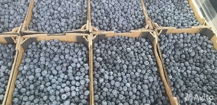 Малина,клубника,ягоды,фрукты