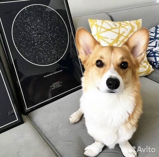 Карта звездного неба