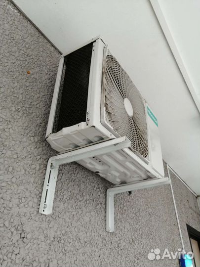 Холодильная камера для цветов