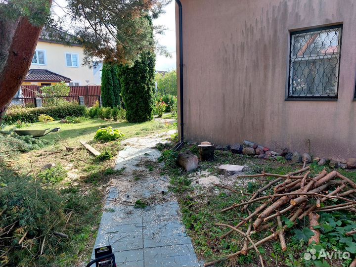 Спил и обрезка деревьев