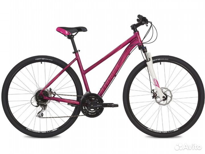 Stinger Liberty Evo 2021