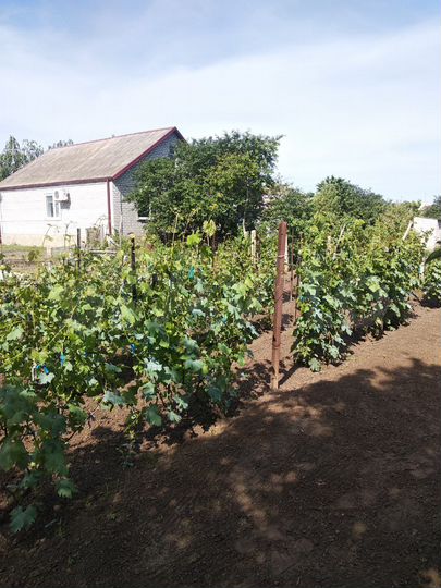 Участок 14 сот. (ИЖС)