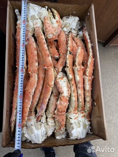 Камчатский краб