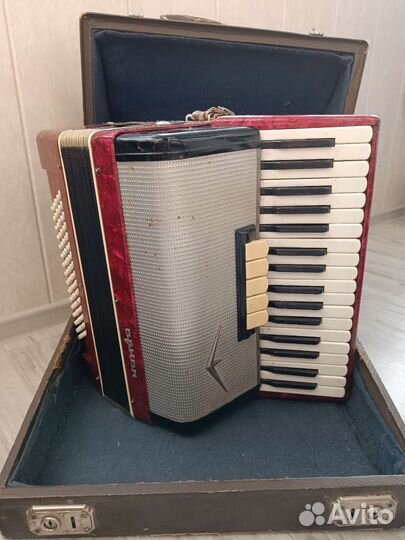Аккордеон 