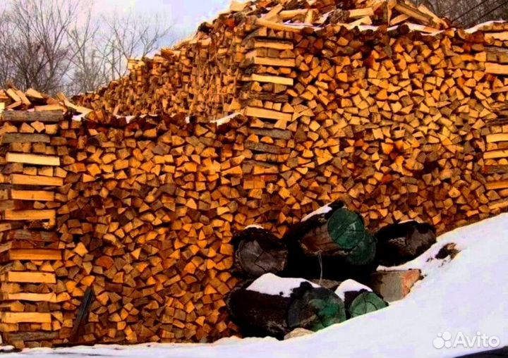 Дрова в область