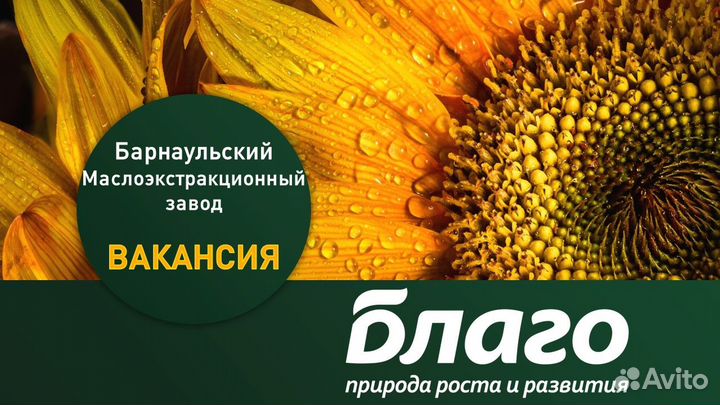 Регистратор