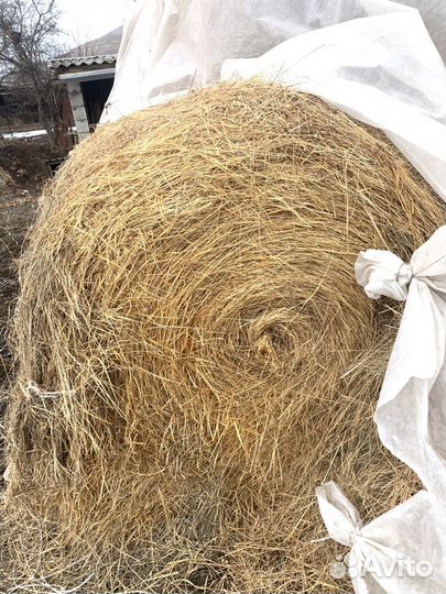 Сено в рулонах