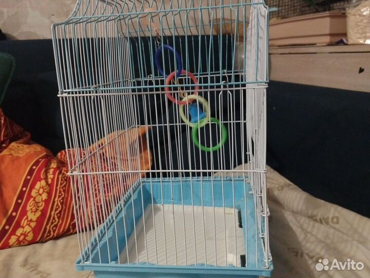 Клетка для грызунов