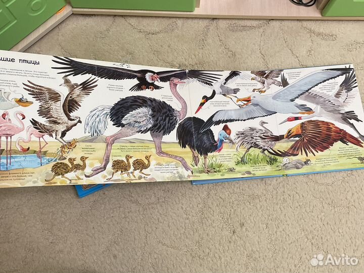 Большая книга о животных