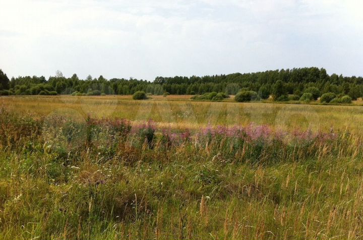 Участок 14,8 га (СНТ, ДНП)