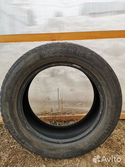 Barum Polaris 3 205/55 R16 91T