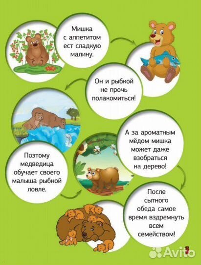 Большая говорящая книга с дополненной реальностью