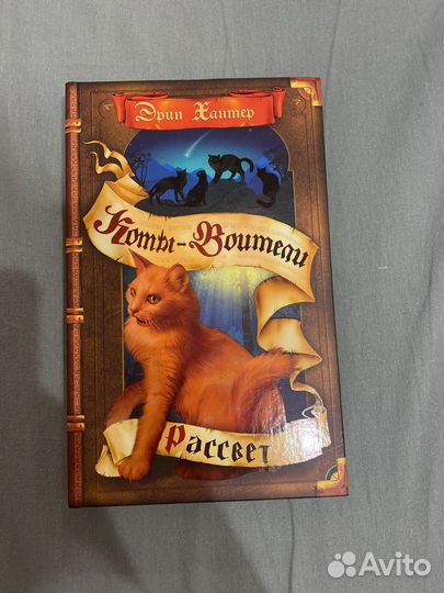 Коты воители - рассвет