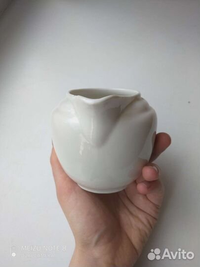 Молочник вербилки