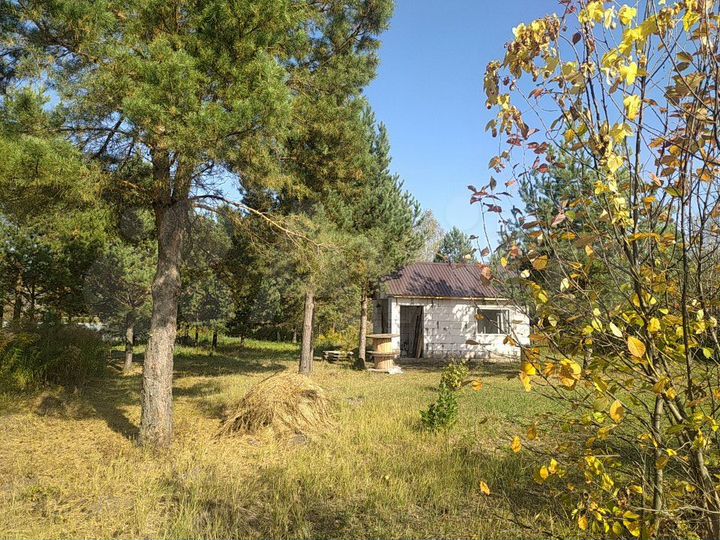Участок 9,4 сот. (СНТ, ДНП)