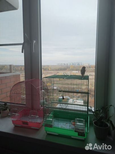 Клетка для канареек бу