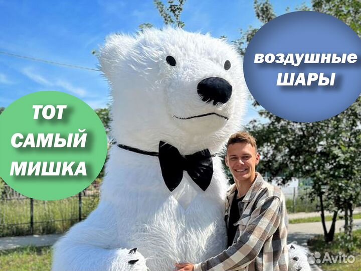 Белый мишка поздравление, чебурашка, медведь бурый