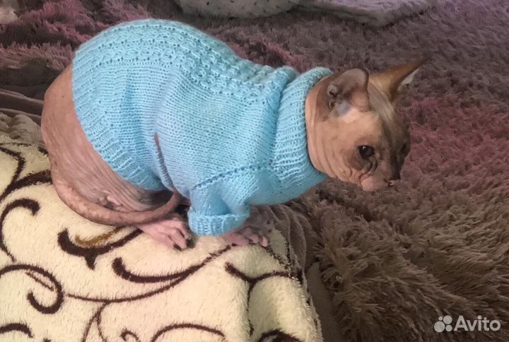Вязаная одежда для собак и кошек