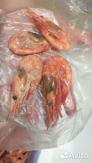 Креветки северные(норебо) 90+
