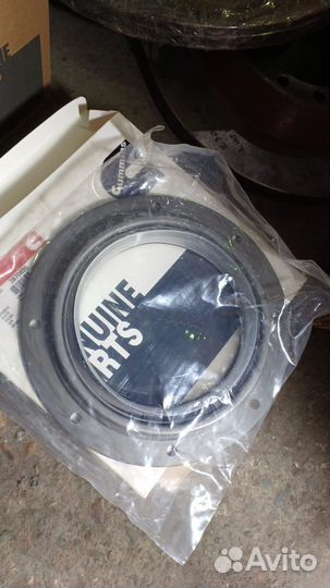 Сальник коленвала задний KTA19 3870890 3005886 300