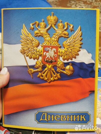 Дневник школьный