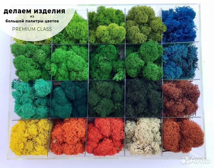 Панно со мхом и растениями 120 на 80 см