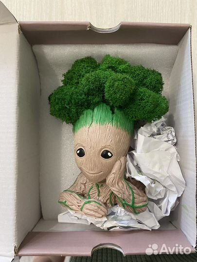 Подарок Мини кашпо Грут с мхом