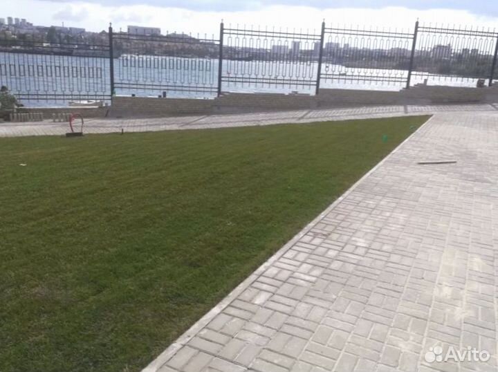 Рулонный газон