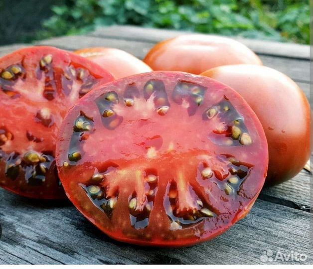 Рассада томата. Редкие сорта. Томатные гномы