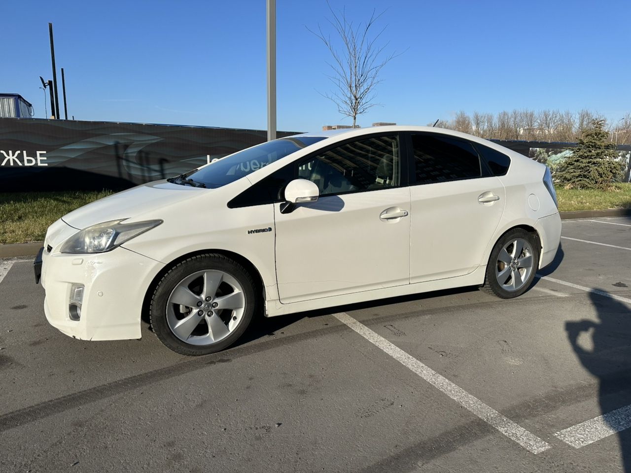 Toyota Prius: фото владельца