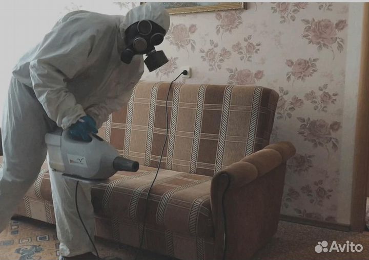 Уничтожение клопов тараканов грибка плесени