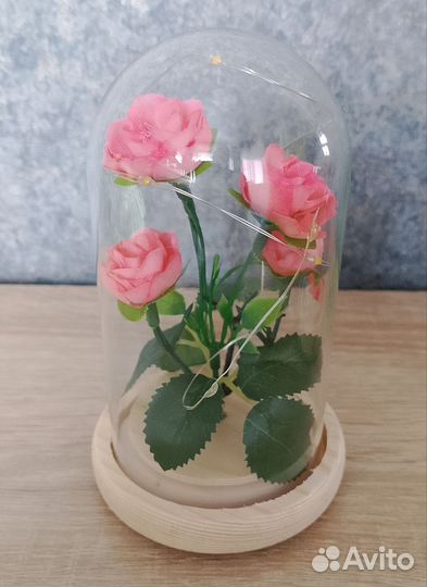 Розы в колбе
