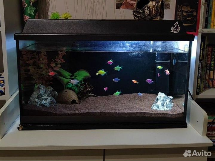 Аквариум
