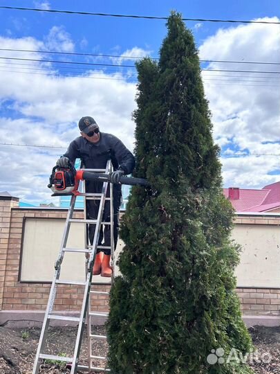 Благоустройство садов, частных парков и территорий