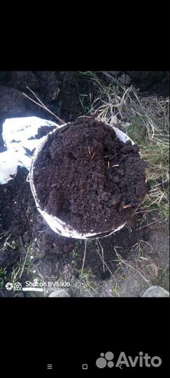 Чернозем в мешках
