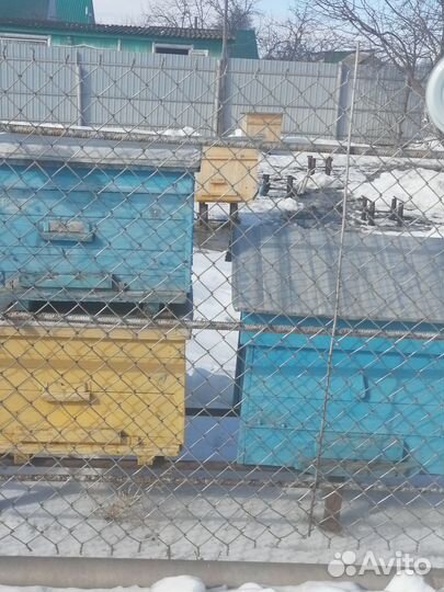 Продаю ульи б/у