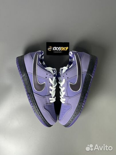 Кроссовки Nike Concepts x Nike SB Dunk Low Purple