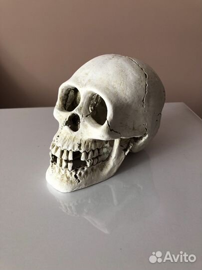 Украшения для аквариума череп