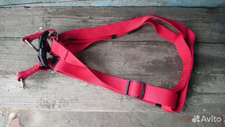 Шлейка для собаки