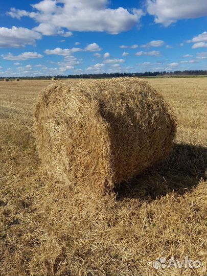 Солома в рулонах